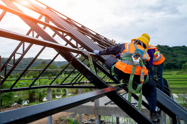 Best Roof Gutter Cleaning  in Holyoke, MA