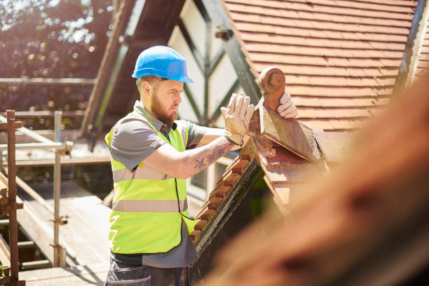 Best Local Roofing Companies  in Holyoke, MA
